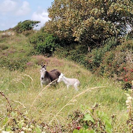 Ballyconneely House Galway Dış mekan fotoğraf