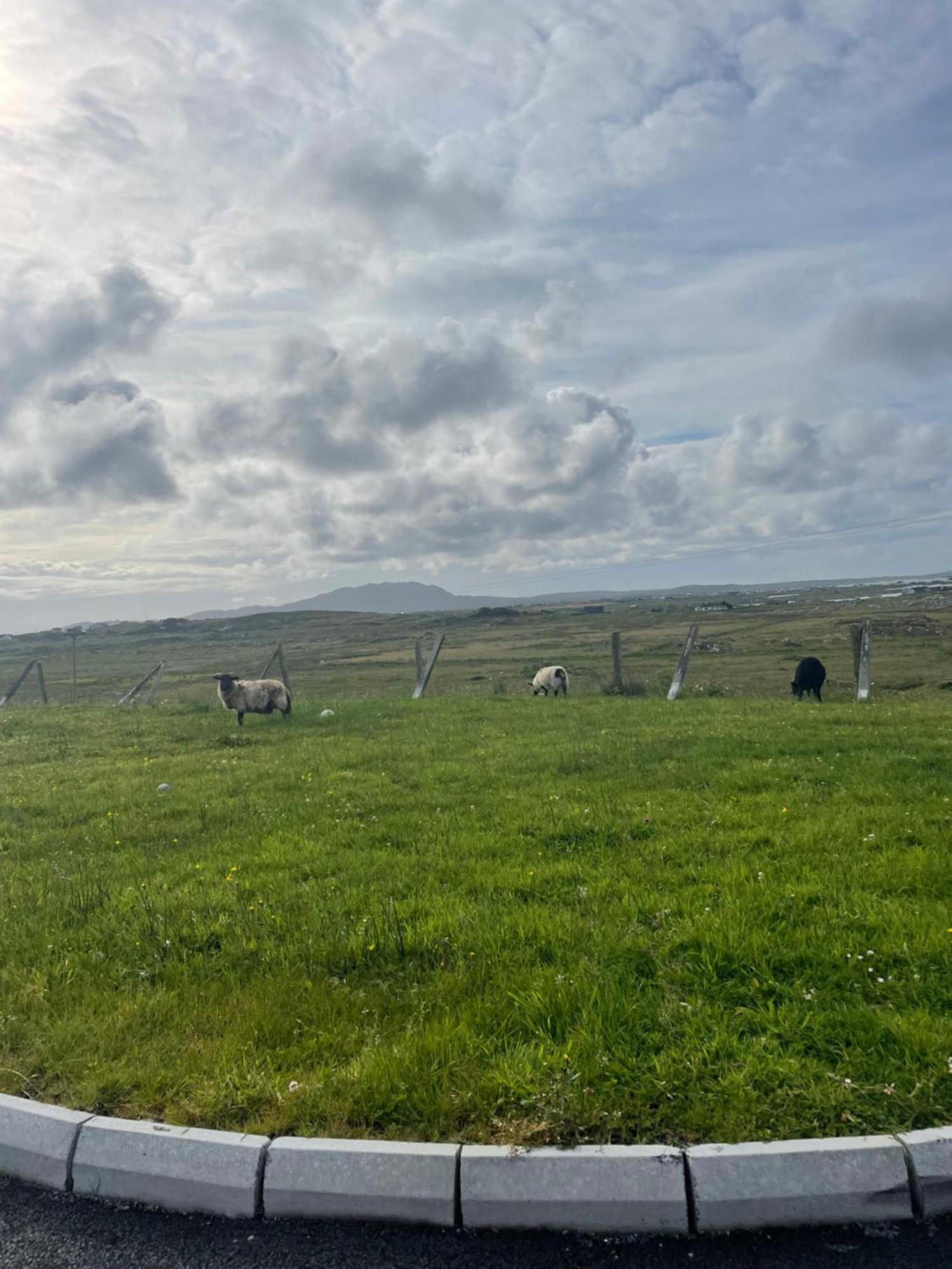 Ballyconneely House Galway Dış mekan fotoğraf